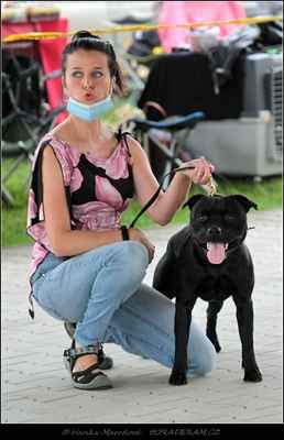 Branduff Kebullstaff (Elitebulls Challenger X Satip Princess Diana) - Psi - mezitřída - VD