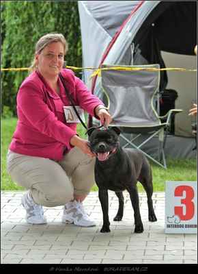 Kalashnikov Domidar Dogs (Glimmer Man Domidar Dogs X Grinning Devils Domidar go Ballistic) - Psi - třída otevřená - V3