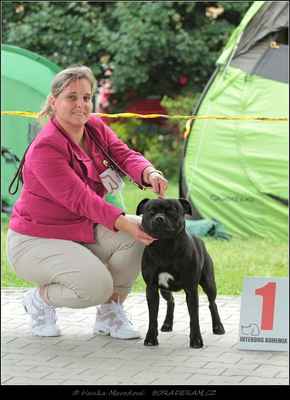 Keep Up With Domidar Dogs (Glimmer Man Domidar Dogs X Grinning Devils Domidar go Ballistic) - Psi - třída vítězů - V1, CAC