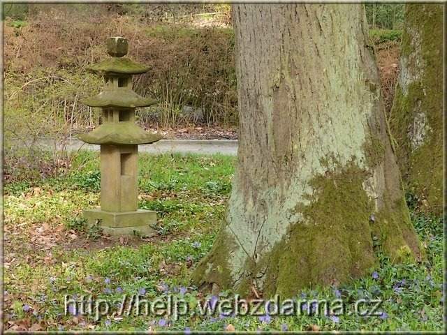 zahrada