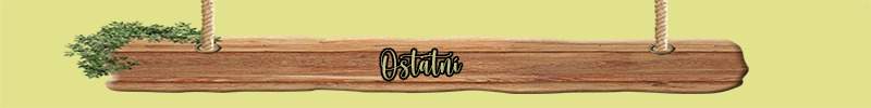 ostatni.jpg?ver=0