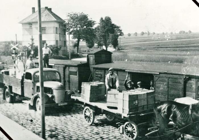 Obrázek