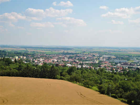 Z rozhledny se naskýtá výhled na Podkrkonoší s dominantou Zvičinou, hřebeny Krkonoš, Jičínskou pahorkatinu, Hořice či Orlické hory. A za ideálního počasí i na žižkovský vysílač v Praze.