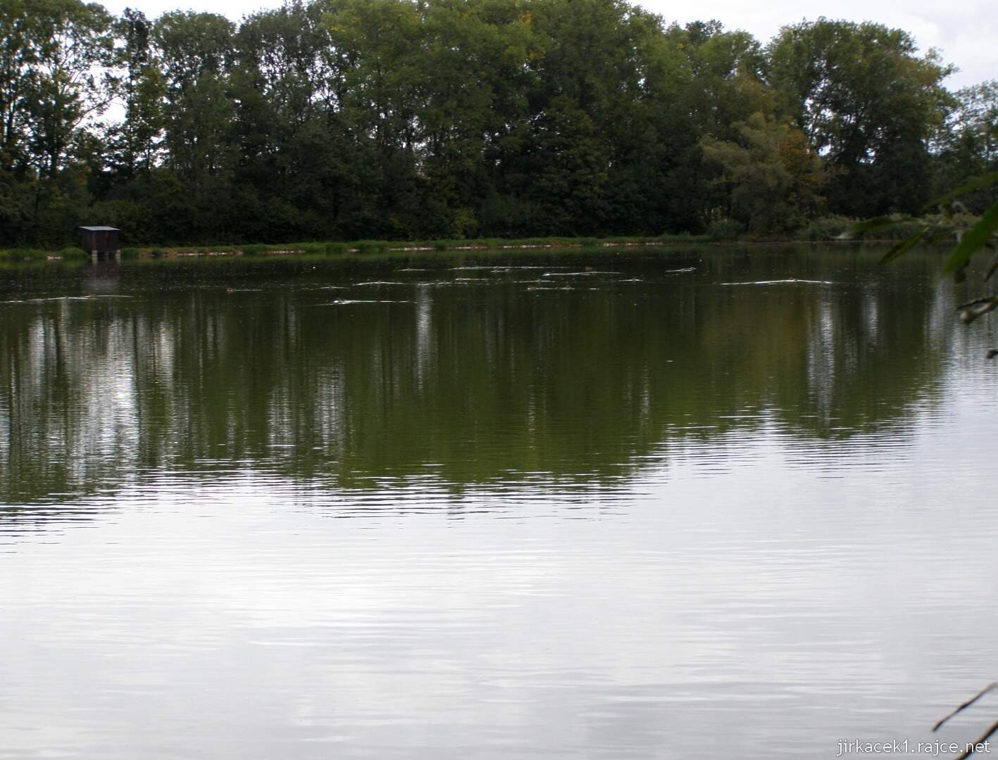 NS Nedošínský háj 56 - rybník Malý Košíř