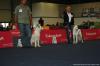 Crazy Crystal Shirotomo Sweetheart a Showpatrols Chila - Female Intermediate Class